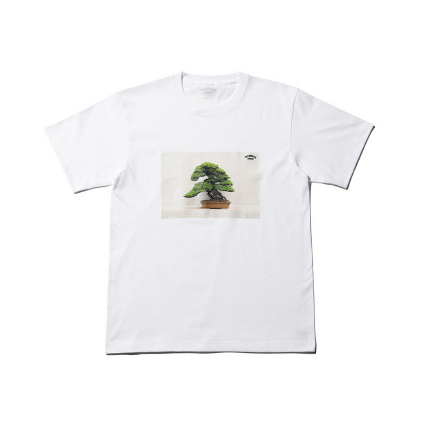 BONSAI PHOTO T-SHIRT -五葉松- 詳細画像